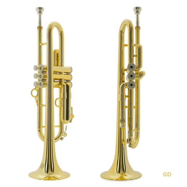 72 以上節約 Pinstrument ピー トランペット ゴールド Ptrumpet Hytech Ptrumpet1htg Gold 返品種別b Riosmauricio Com