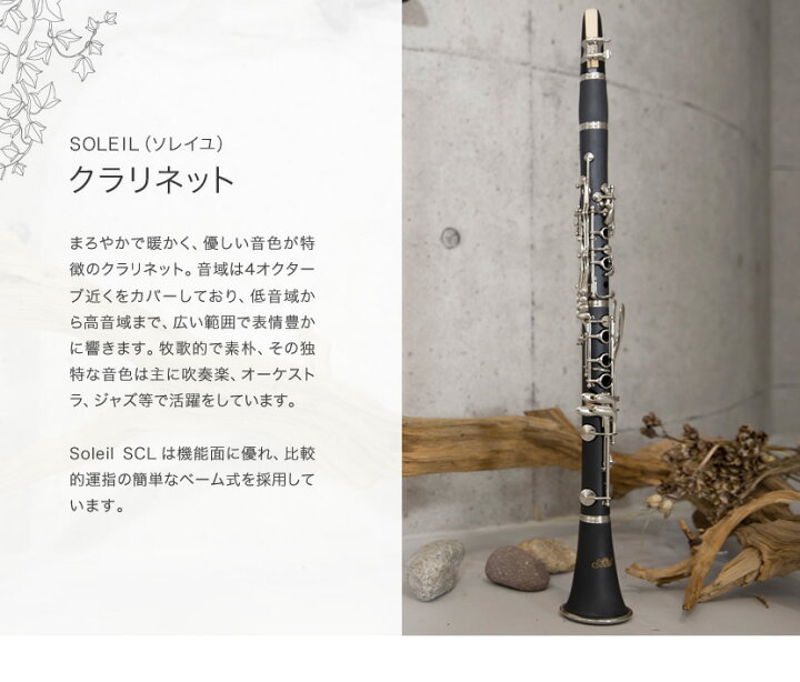 楽天市場】【♪動画有り】クラリネット 初心者入門セット Soleil SCL-1 