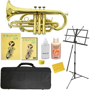 Rlbg S Zbg Soleil SCT-1 [ B ] y \C SCT1 Ǌy zy50̂͓X|Cg5{Iz