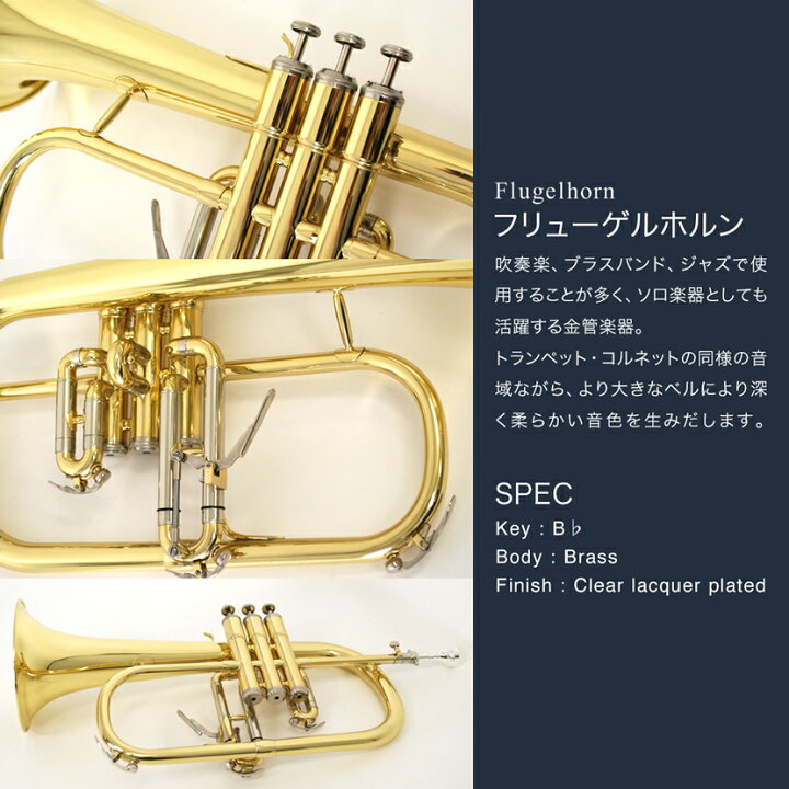 楽天市場】フリューゲルホルン Soleil SFG-1 (付属品：専用ケース 
