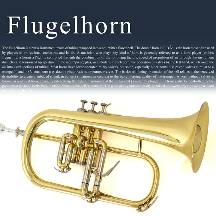 楽天市場】Soleil フリューゲルホルン SFG-1 (付属品：専用ケース 