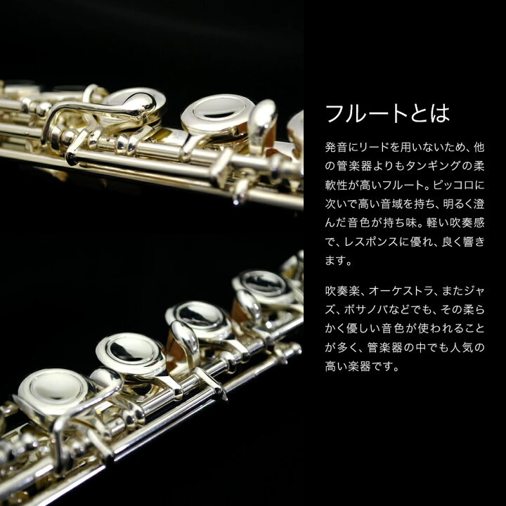 楽天市場】フルート シルバーメッキ仕上げ Soleil SFL-2/SV 単品(専用 