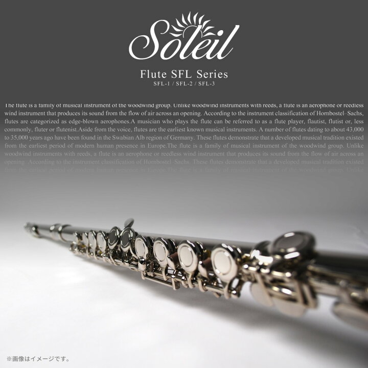 楽天市場】フルート シルバーメッキ仕上げ Soleil SFL-2/SV 単品(専用 