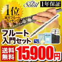 Soleil フルート 初心者入門セット SFL-1【ソレイユ SFL1 管楽器】 ランキングお取り寄せ