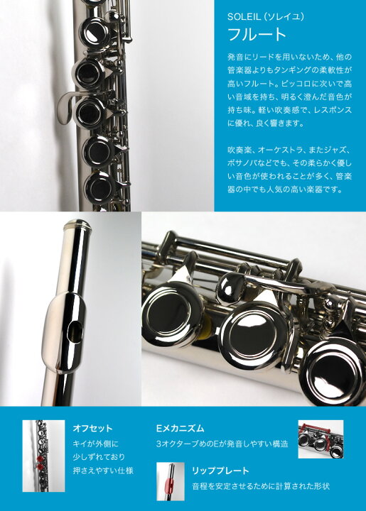 楽天市場】フルート Soleil SFL-1 単品(専用ケース、その他付属品付き 
