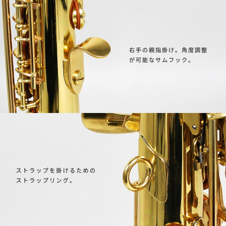 楽天市場】【5と0のつく日はP5倍 + エントリーでさらにP4倍】Soleil 