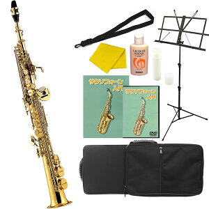 \vmTbNX S Zbg Soleil SSP-1 y \C TbNX \vm SSP1 Ǌy zy50̂͓X|Cg5{Iz