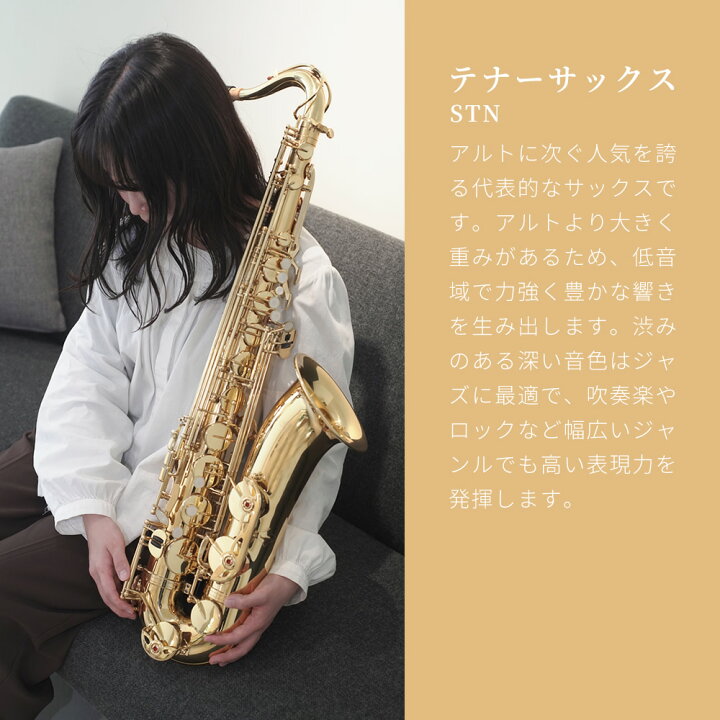 楽天市場】テナーサックス 初心者 入門セット Soleil STN-1 