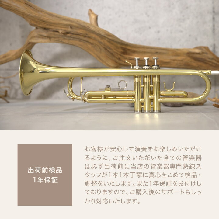 楽天市場】【 ♪動画有り 】トランペット 初心者 セット Soleil STR 