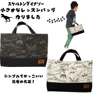 ���� ���w ������ ���b�X���o�b�O 40cm�ȓ� �Z�� A4 ��񂰑� �G�{�� ���� ���� �� �X�P���g�� �e�B���m�U�E���X �_�C�i�\�[ ���傤��イ �V���v�� �����O�b�Y �������� ���w���� ��񂰑� �G