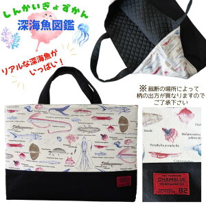 @wbXobO񂰑܁G{܁}Ӂ@ȁ@[C}Ӂ@dԁ@V@ԁ@蕨@@ނ@㗚@ObY@wObY@@w