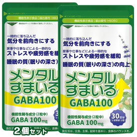 メンタルすまいる（GABA100）60粒×2個セット【株式会社タケイ】【ネコポス便送料無料】