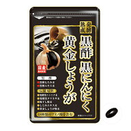 【10％OFF！楽天SS】黒酢黒にんにく黄金しょうが 60粒 （ 30日分 ） 【 タケイ 】 【 ネコポス便対応 】