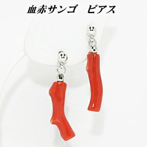 `^  TS sAX  [ fB[X  ̓ hV̓ zCgf[ NX}X v[g Mtg a