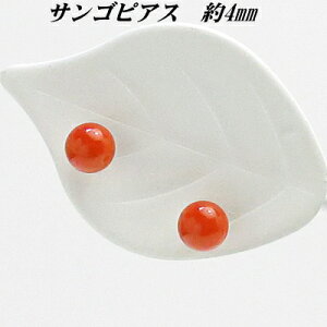 TS 4mm sAX  [ fB[X  ̓ hV̓ zCgf[ NX}X v[g Mtg a