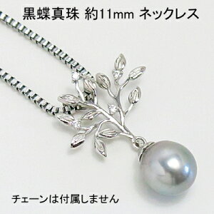 SV m^ 11mm y_g  i[ցj fB[X  ̓ hV̓ zCgf[ NX}X v[g Mtg