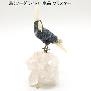 \[_Cg  u  NX^[  fB[X ̓ hV̓ zCgf[ NX}X v[gMtg a