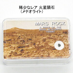 ΐ覐 eICg Mars Rock i[ցj fB[X Y ̓ ̓ hV̓ zCgf[ NX}X v[g Mtg