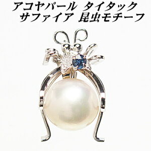 ARp[ ^C^bN Tt@CA `[t  Y ̓ hV̓ zCgf[ NX}X v[g Mtg