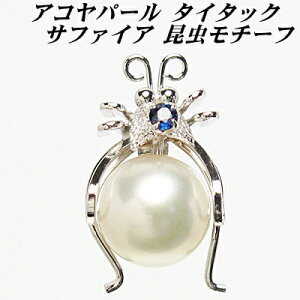 ARp[ ^C^bN Tt@CA `[t  Y ̓ hV̓ zCgf[ NX}X v[g Mtg