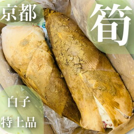 終盤へ突入！日本一***旬の特上品*【朝堀り京たけのこ】白子筍*2Lサイズ約2kg（3本）京都大原野産,塚原,長岡京,物集女産より厳選*木の芽,米ぬか,鷹の爪・ゆがき方とお料理レシピ付き新鮮*生タケノコ*竹の子*ギフト*贈答*お祝い*御祝*京野菜*進物*旬食材*たけのこ