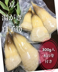 春*新物【京・旬の味わいをお手軽に！こだわりの無添加 湯がき京筍300g】さくらいや製真空パック**1パック約300g（1〜4本）*塚原,大原野産より厳選※春の香り*木の芽付き※*無添加水煮・ゆがき*京都お取り寄せ*ギフト*お祝い*御祝*ご進物*竹の子*母の日*旬の食材*