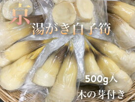 最終期に突入*春*新物【京*旬の味わいをお手軽に！こだわりの無添加 湯がき京筍500g】さくらいや製真空パック**1パックあたり約500g(1〜4本)塚原・大原野産より厳選※春の香り*木の芽付き※*無添加水煮.ゆがきたけのこ*京都お取り寄せ*御祝*母の日*旬食材*ギフト*お祝い