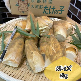 新物！*日本一*旬の特上品*【朝堀り京たけのこ】白子筍*Sサイズ約2kg（6～12本）京都大原野,塚原, 物集女,長岡京産より厳選木の芽,米ぬか,鷹の爪・ゆがき方とお料理レシピ付**新鮮*生タケノコ*竹の子*春ギフト*贈答*お祝い*御祝*旬食材*生たけのこ*母の日