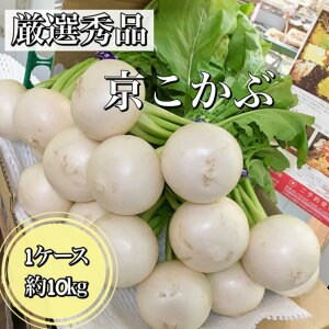 VIy~Gz(tt) *IGi*s{Y*I1P[X10kg(16`30)***؃Mtgɂ*uh₳**Mtg**Ε*Ε*pH*q