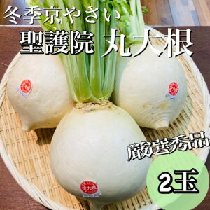 {̂**ys{Yz@卪iۑ卪jMTCY*IGi*2ʁi1ʂ1300`1600gjw1ȏ͑TCYύX**؃Mtgɂ*uh