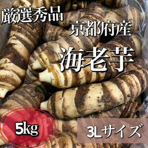 y~Gzs{Y@CVт3LTCY*I*Gi* I5Kg(1140`200gj*s*؃Mtgɂ*₳**Mtg**Ε*Ε*p