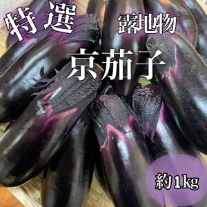 �{�̂�������***�y�{�ꋞ��؁z*���I�i**���֎q��1kg�i6�`12�{�j���s�{�Y��2�i2�L���j�܂œ��ꑗ���ł���������؃M�t�g�ɂ��������߁I��*���s�I�n���Ȃ���*���s������*�{�̐H��*���N
