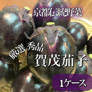 ���X�������߁I�y�Ƃ�Ƃ�̂ق�܂��񋞖��*���I�ō������N�G�i�z��Ή֎q�����Ȃ�*���s�{�Y*L�`2L�T�C�Y*1�P�[�X( 12�`15�ʓ���) *��3.8kg*����؃M�t�g�ɂ��������߁I*���s������*�{��