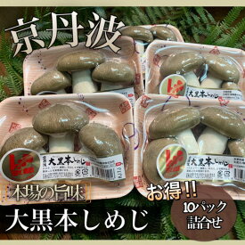 抜群の栄養とコク！京野菜ブランド【京丹波大黒本しめじ】10パックセット（1パックあたり約110g）*京丹波産*ギフトにもおすすめ*誕生日*お歳暮*贈り物*贈答*新鮮*京都お取り寄せ*厳選品*御中元*美味しいきのこ*御歳暮*高級食材*栄養価満点