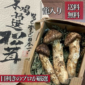 楽天市場 長野 県 松茸の通販