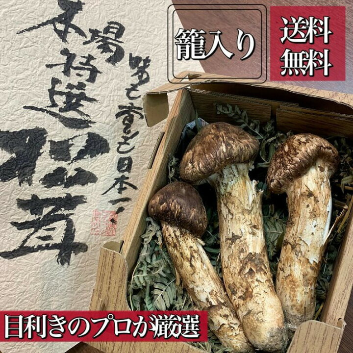 楽天市場】2024年**新物！【天然国産*秋の味覚】長野県産*特選松茸 中 