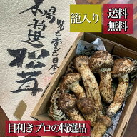 2026年新物**【天然国産*秋の味覚】長野県産*特選松茸 つぼみ〜中わん（少しだけ開いた状態）*約200g(3〜…
