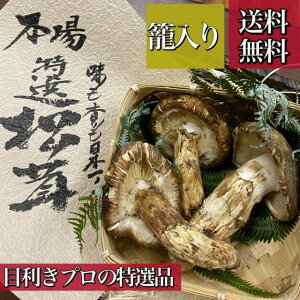 VIyVRY*H̖oz쌧Y*I@Ђ炫250g(2`5{)*ē**t*ĂE*iꕔn揜j*Mtgɂ*Ε*Ε*a**VN*