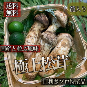 【天然品*秋の味覚】*極上松茸 つぼみ*中国産特特上ランク*約200g(3〜8本)**すだち付き*籠入り*焼き・鍋* 送料無料(一部地域除く)*ギフト贈答品*お歳暮*御歳暮*新鮮まつたけ*お取り寄せ*誕