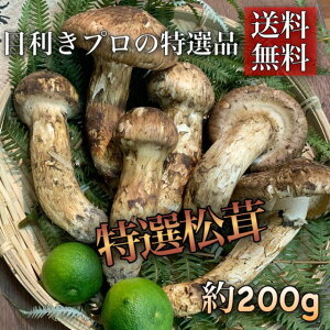 VIyHō̖ozIڂ݁`Ђ炫*~bNXl*YドNi*200g(2`8{)*t*ĂE*iꕔn揜jw2܂Ł*Mtgi*Ε*