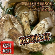 旬*初秋の味覚*【目利きプロ厳選松茸 中わん～ひらき約200g(2〜6本)】*中国産並ランク**焼き・煮炊きでき…