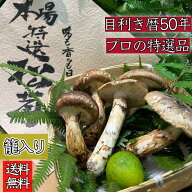2026年新物**【天然国産*秋の味覚】長野県産*特選松茸 ひらき(傘の状態です) 約200g(2〜6本)*籠入り**す…