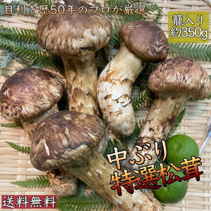 yH̍ō̖ozԂ㏼@ڂ݁`J*ēドNY*350g(2`6{)**t*ĂE*iꕔn揜jMtgiɍœKI*Ε*Ε*