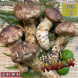 XꉟIyHō̖ozԂ㏼*ڂ݁`J*YドN*1kg(7`15{)*t*ĂE*iꕔn揜j*Mtgi*Ε*Ε*VN܂