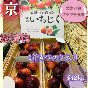 lC**ŷ*Inzsz*IGi*14pbN(2kg)2L`4LTCYi1pbN4`6jn*ԉ*C`WN**lC*Mtg*a**ʕ*