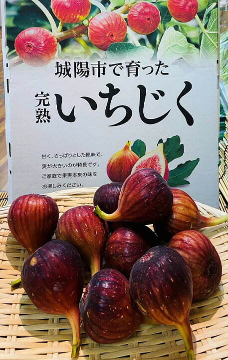 楽天市場 新着 朝採り 露地物 京都城陽いちじく 特選秀品 1箱4パック入り 約2kg 2l 4lサイズ 1パックあたり4 6個 完熟 無花果 イチジク 人気くだもの ギフト 誕生日 お取り寄せ 果物 お中元 敬老の日 御中元 特産 身体に優しい旬の食材 旬のくだもの 京都の