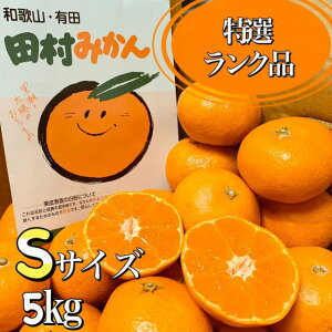 ẌꉟI̊Âۏؕt**yIBLc݂̍ōuhĉ݂ȂłドNiIzIBa̎RY c݂*STCY*IGi**5kg(60)*Mtgɂ