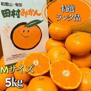 ẌꉟI̊Âۏؕt**yIBLc݂̍ōuhĉ݂ȂłドNiIzIBa̎RY c݂*MTCY*IGi**5kg(50)*Mtgɂ