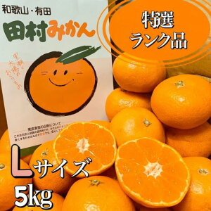 Ẍꉟ**y̋IBLc݂̍ōuhĉ݂ȂłドNiIzIBa̎RY c݂*LTCY*IGi**5kg(40)c݂񔠓*Mtgɂ