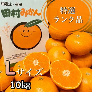 Ẍꉟ**y̋IBLc݂̍ōuhĉ݂ȂłドNiIzIBa̎RY c݂*LTCY*In**10kg(80)c݂񔠓*Mtgɂ